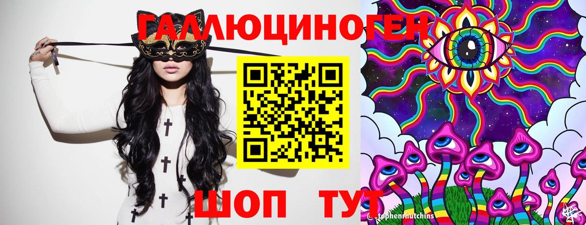 Псилоцибиновые грибы Cubensis Махачкала