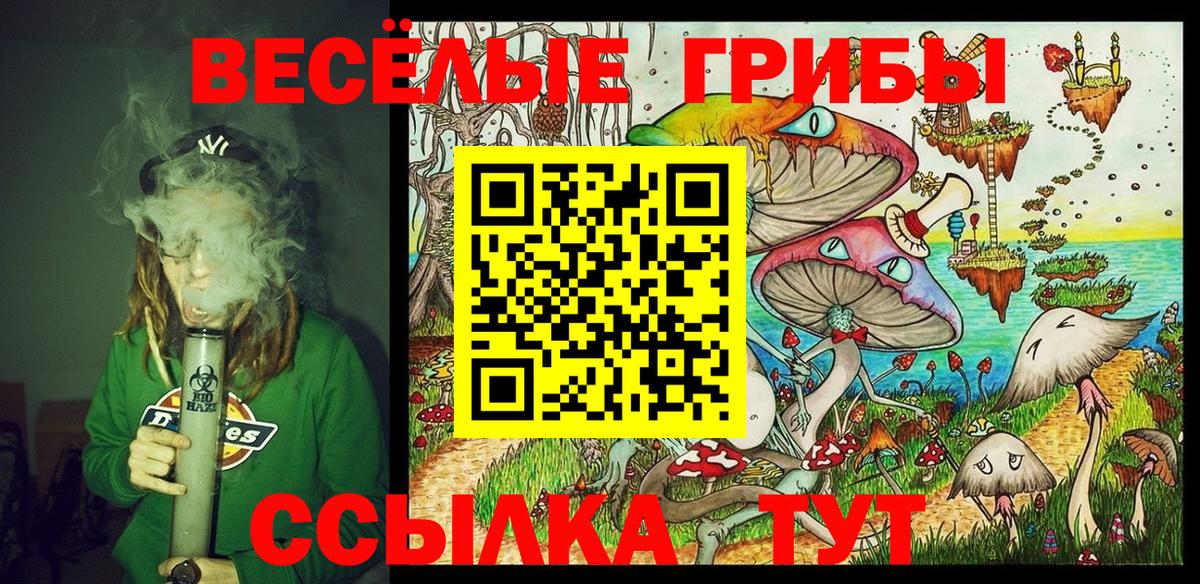 Псилоцибиновые грибы мицелий Махачкала